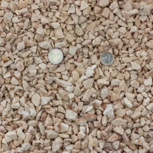 china rosa valencia 9-15