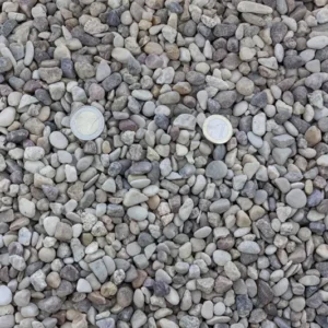 gravillin pinoncillo