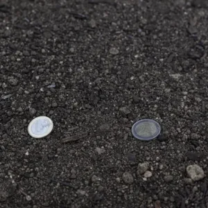 Tierra mezcla plantación de árboles